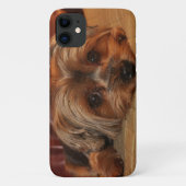 Niedlich Yorkshire Terrier Puppy Dog Case-Mate iPhone Hülle (Rückseite)