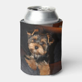 Niedlich Yorkshire Terrier Puppy Dog Dosenkühler (Kanne Vorderseite)