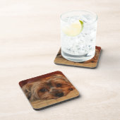 Niedlich Yorkshire Terrier Puppy Dog Getränkeuntersetzer (Rechte Seite)