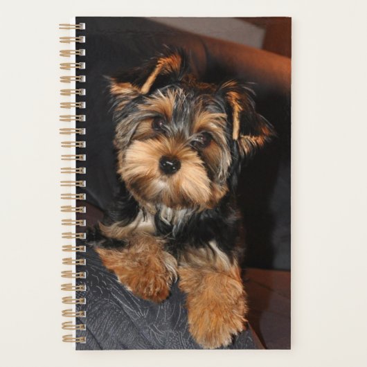 Niedlich Yorkshire Terrier Puppy Dog Planer (Vorderseite)