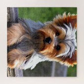 Niedlich Yorkshire Terrier Puppy Dog Puzzle (Horizontal)