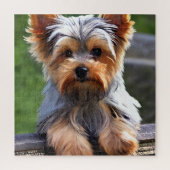 Niedlich Yorkshire Terrier Puppy Dog Puzzle (Vertikal)