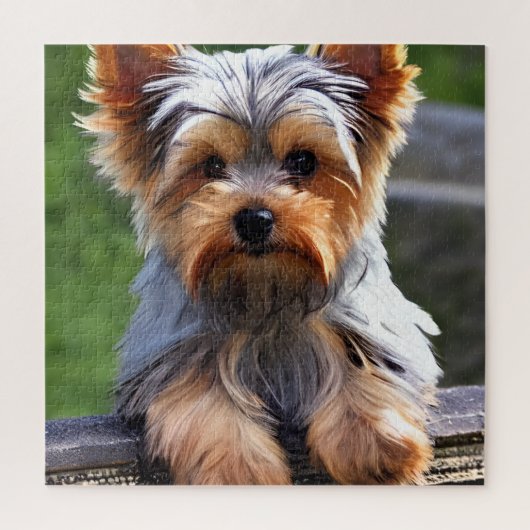 Niedlich Yorkshire Terrier Puppy Dog Puzzle (Vertikal)