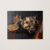 Niedlich Yorkshire Terrier Puppy Dog Puzzle (Horizontal)
