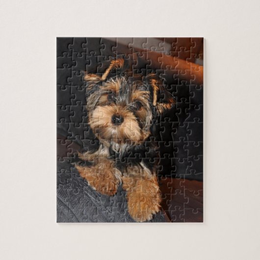 Niedlich Yorkshire Terrier Puppy Dog Puzzle (Vertikal)
