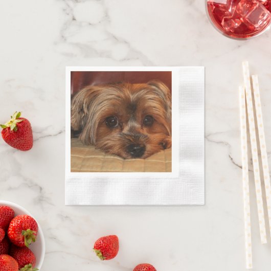 Niedlich Yorkshire Terrier Puppy Dog Serviette (Beispiel)