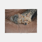 Niedlich Yorkshire Terrier Puppy Fleecedecke (Vorderseite (Horizontal))