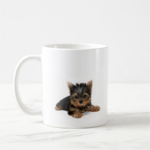 Niedlich Yorkshire Terrier Puppy Kaffeetasse