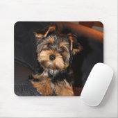 Niedlich Yorkshire Terrier Puppy Mousepad (Mit Mouse)