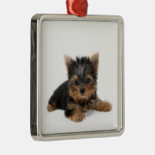 Niedlich Yorkshire Terrier Puppy Silbernes Ornament (Rechts)