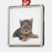 Niedlich Yorkshire Terrier Puppy Silbernes Ornament (Links)