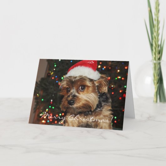 Niedlich Yorkshire Terrier Weihnachtskarte Feiertagskarte (Vorderseite)