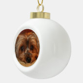 Niedlich Yorkshire Terrier Yorkie Dog Keramik Kugel-Ornament (Rechts)