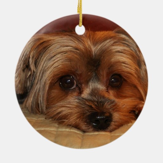 Niedlich Yorkshire Terrier Yorkie Dog Keramik Ornament (Hinten)