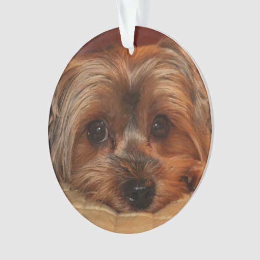 Niedlich Yorkshire Terrier Yorkie Dog Ornament (Vorderseite)