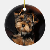 Niedlich Yorkshire Terrier Yorkie Puppy Dog Keramik Ornament (Hinten)