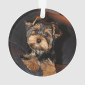 Niedlich Yorkshire Terrier Yorkie Puppy Dog Ornament (Rückseite)