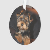 Niedlich Yorkshire Terrier Yorkie Puppy Dog Ornament (Vorderseite)