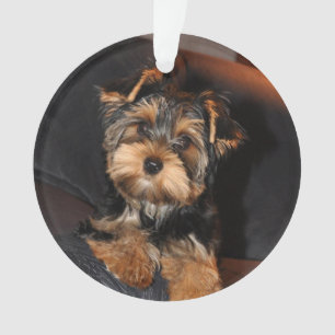 Niedlich Yorkshire Terrier Yorkie Puppy Dog Ornament