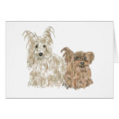 Niedlich Yorkshire Terriers Funny Yorks Tierart (Vorderseite (Horizontal))