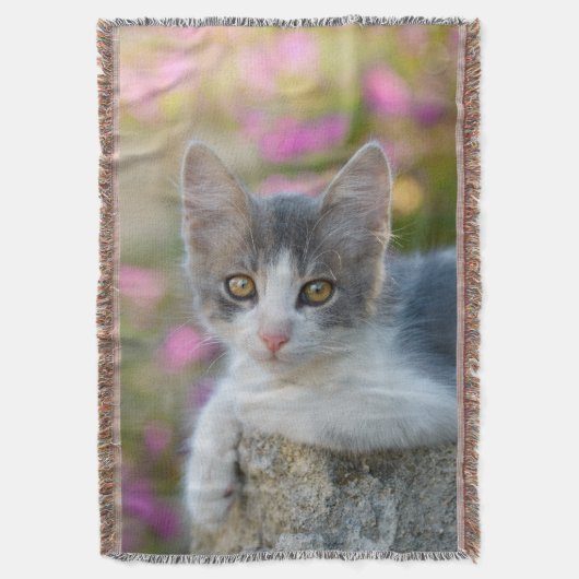Niedlich Young Bicolor Cat Kitten Pink Blume - Decke (Vorderseite Vertikal)