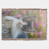 Niedlich Young Bicolor Cat Kitten Pink Blume - Decke (Vorderseite)