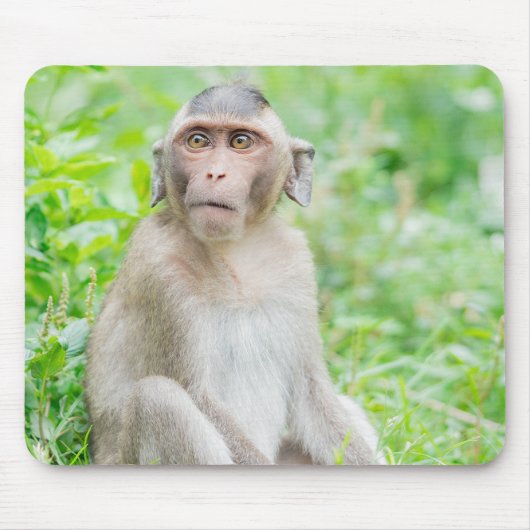 Niedlich Young Brown Spider Monkey Mousepad (Vorne)