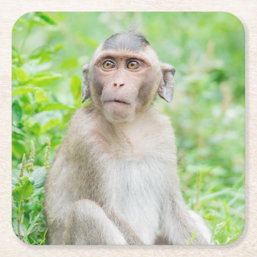 Niedlich Young Brown Spider Monkey Rechteckiger Pappuntersetzer (Vorderseite)