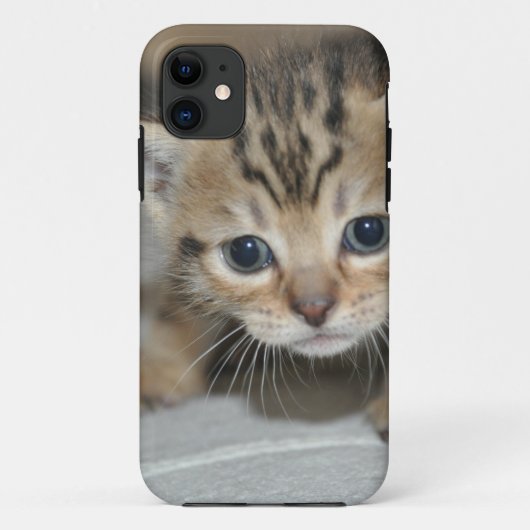 Niedlich Young Kitten Case-Mate iPhone Hülle (Rückseite)