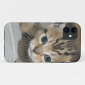 Niedlich Young Kitten Case-Mate iPhone Hülle (Rückseite (Horizontal))