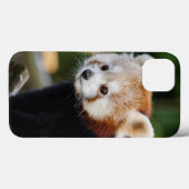Niedlich Young Red Panda Bear Case-Mate iPhone Hülle (Rückseite (Horizontal))