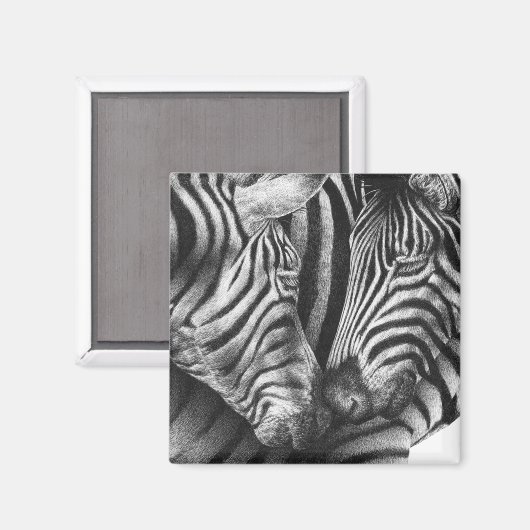 Niedlich Zebra Magnet (Vorderseite/Rückseite)