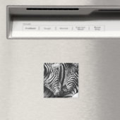 Niedlich Zebra Magnet (In Situ (Geschirrspüler))