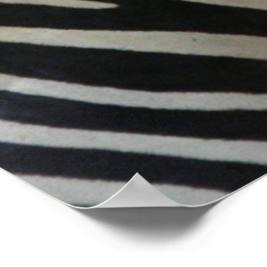 Niedlich Zebra Poster (Ecke)
