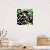 Niedlich Zebra Poster (Küche)