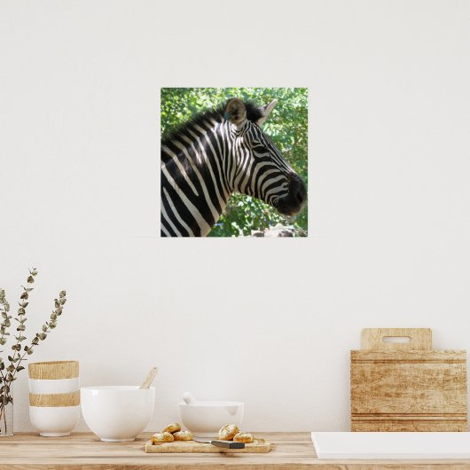 Niedlich Zebra Poster (Küche)