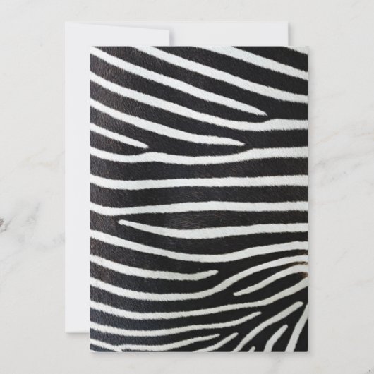 Niedlich Zebra Safari Jungle Mustertierjunge Einladung (Rückseite)