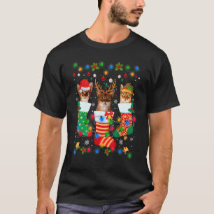 Niedliche abyssinian Cat Kitten Weihnachtssocken X T-Shirt