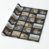 Niedliche Affe-, Löwe-und Geschenkpapier (Ungerollt)