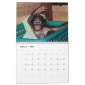 Niedliche Affen-wild lebende Tiere Kalender (Feb 2026)