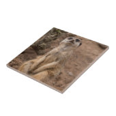 Niedliche afrikanische Meerkat-Wildtiere Fliese (Seite)