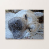 niedliche akita eingeschlafene Originalhunde schla Puzzle (Horizontal)