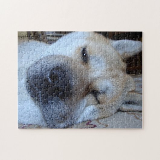 niedliche akita eingeschlafene Originalhunde schla Puzzle (Horizontal)