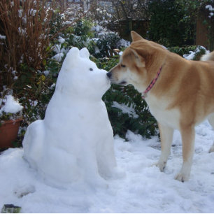 niedliche akita kissende Schneemann akita Foto Wei Quadratischer Aufkleber