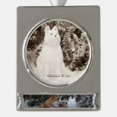 niedliche akita sitzend Schneehunde Banner-Ornament Silber (Vorderseite)