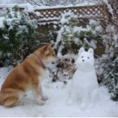niedliche akita sitzend Schneehunde Keramik Ornament