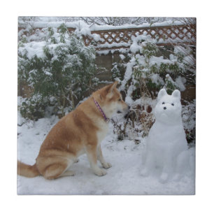 niedliche akita sitzt mit Schneemann im Schneehund Fliese