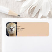 Niedliche Alpaca-Oberfläche (Insitu)