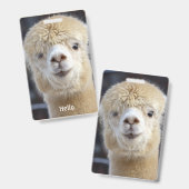 Niedliche Alpaca-Oberfläche Ausweis (Vorder- & Rückseite)