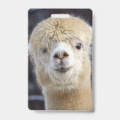 Niedliche Alpaca-Oberfläche Ausweis (Rückseite)